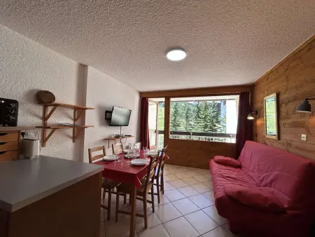 Studio 28 m² PMR balcon sud, vue pistes - Montgenèvre : photo 9