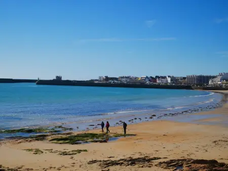 Studio 29m² plein sud, 500m de la plage à Quiberon - Photo 8