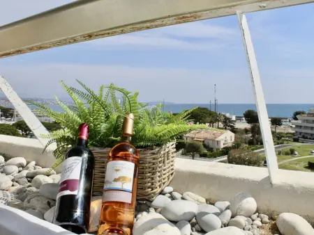 Appartement 2 pièces climatisé, 100m de la plage à Villeneuve-Loubet : photo 2
