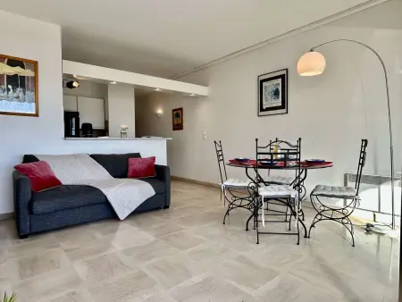Appartement 2 pièces climatisé, 100m de la plage à Villeneuve-Loubet : photo 12