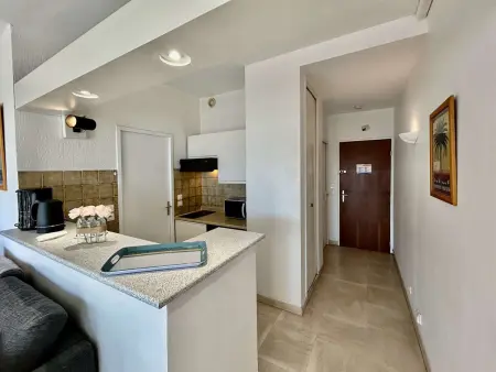Appartement 2 pièces climatisé, 100m de la plage à Villeneuve-Loubet : photo 14
