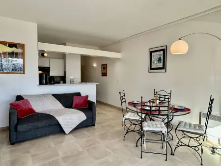 Appartement 2 pièces climatisé, 100m de la plage à Villeneuve-Loubet : photo 18