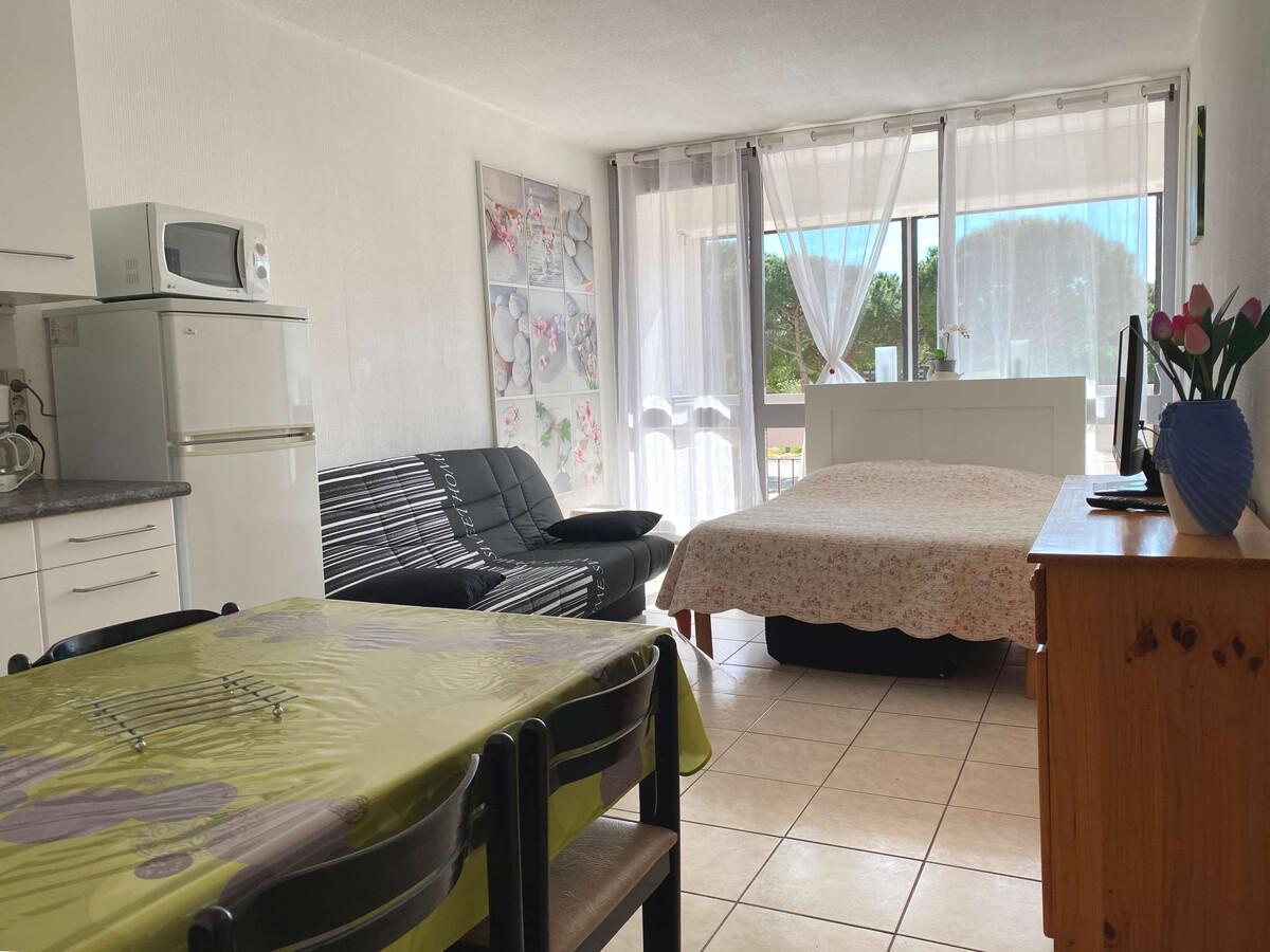 Studio vue parc avec balcon à Balaruc-les-Bains - Photo 1