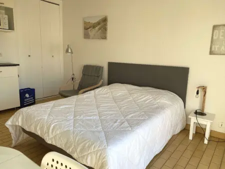 Studio rénové climatisé avec balcon à Balaruc-les-Bains : photo 7