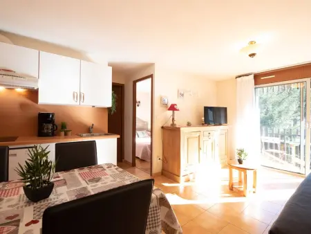 Appartement 4 pers proche téléphérique à Saint Lary - Photo 1