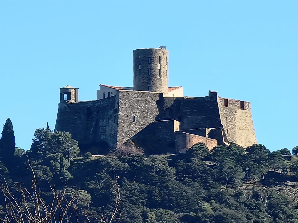 T3 calme à 300m de la plage de Collioure, terrasse - Photo 22