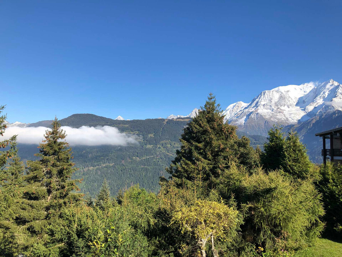 Appartement 3 pièces 6 personnes, vue Mont-Blanc à Saint-Gervais - Photo 16