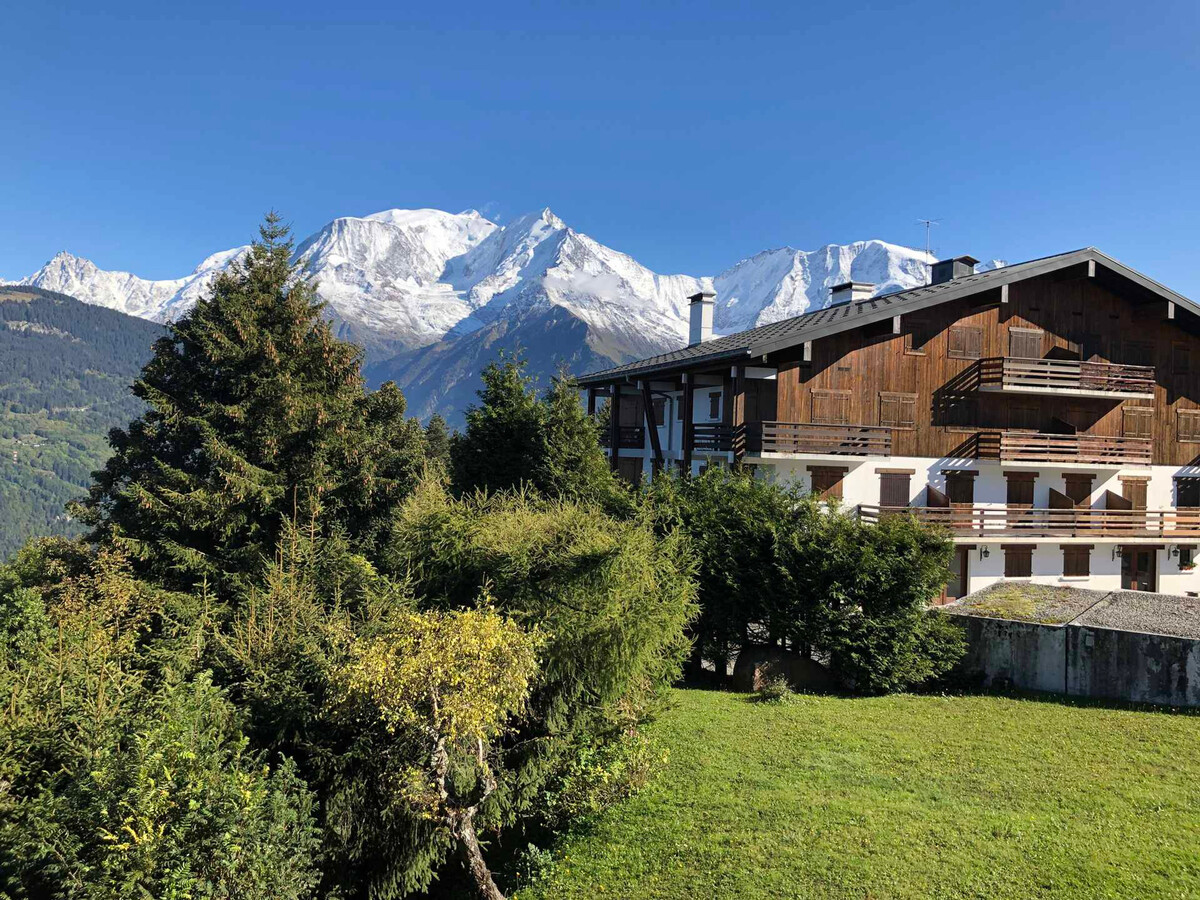 Studio 28 m² vue Mont-Blanc, balcon, parking, animaux - Photo 11