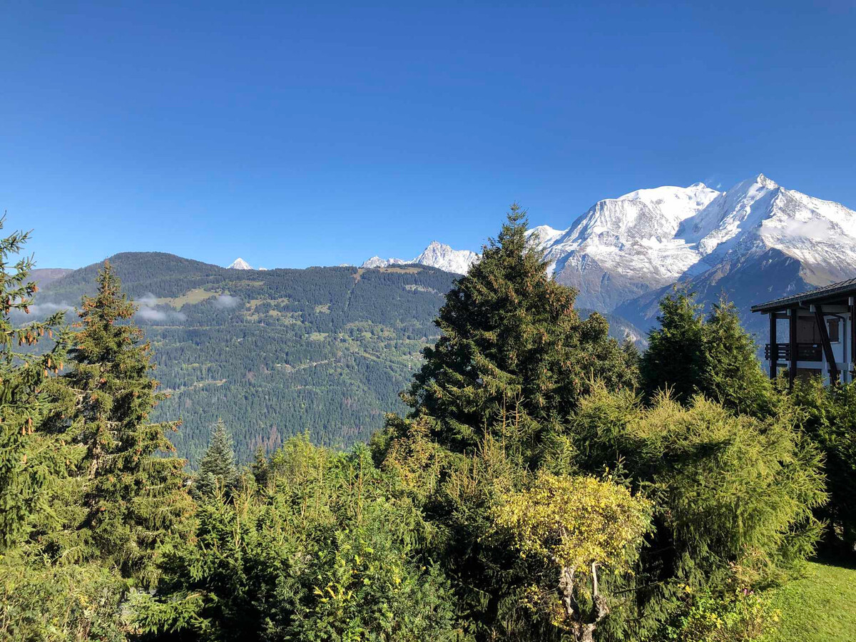 Studio 28 m² vue Mont-Blanc, balcon, parking, animaux - Photo 12