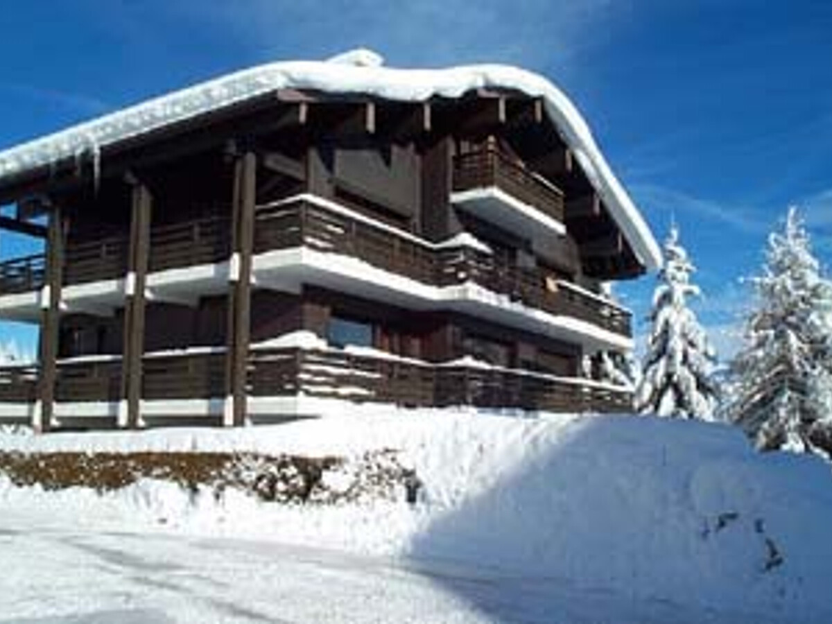 Studio 28 m² vue Mont-Blanc, balcon, parking, animaux - Photo 16