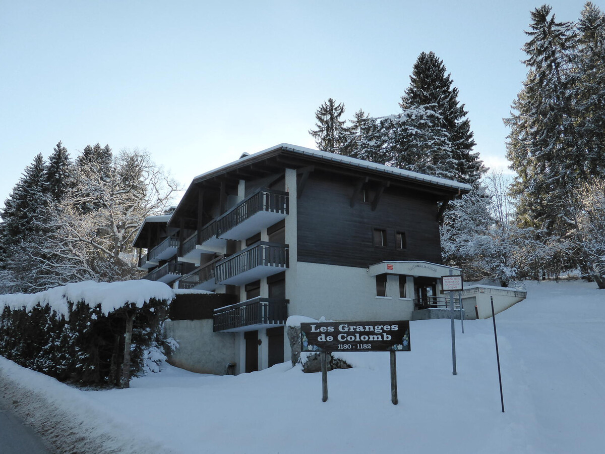 Appartement 2 pièces vue Mont-Blanc à Combloux - Photo 13