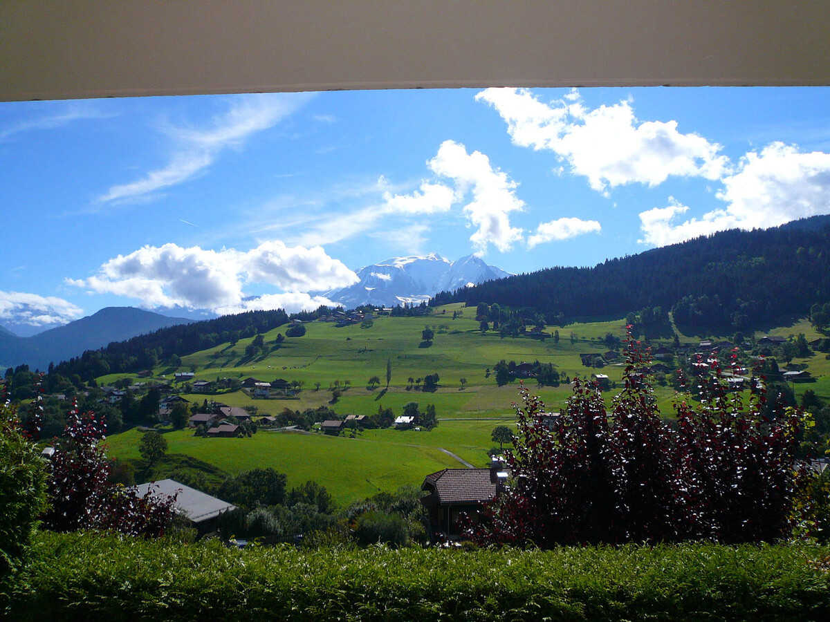 Studio cabine 27 m² Combloux, terrasse Mont-Blanc - Photo 7