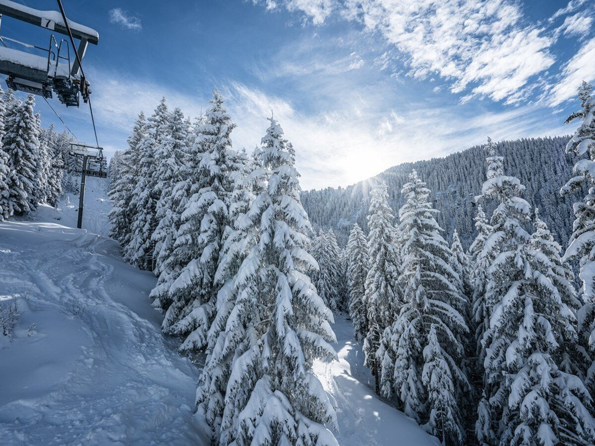 Studio 4 pers. à 50m des pistes, balcon, Montvalezan - Photo 9