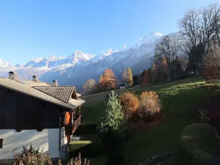 Appart 2 pièces Les Houches, 400 m pistes + piscine : photo 10