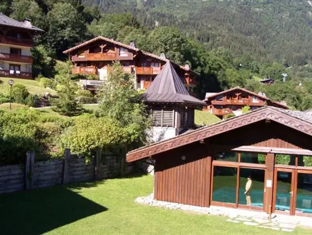 Appart 2 pièces Les Houches, 400 m pistes + piscine : photo 11