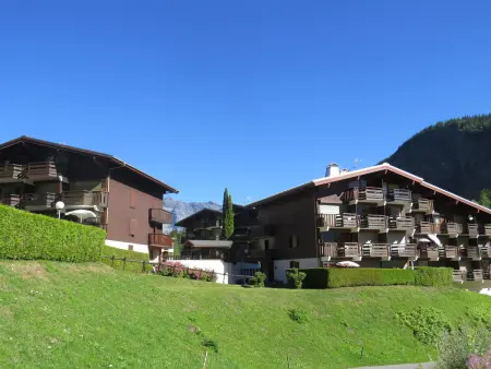 Appart 2 pièces jardin aux Houches, 120 m des pistes : photo 9