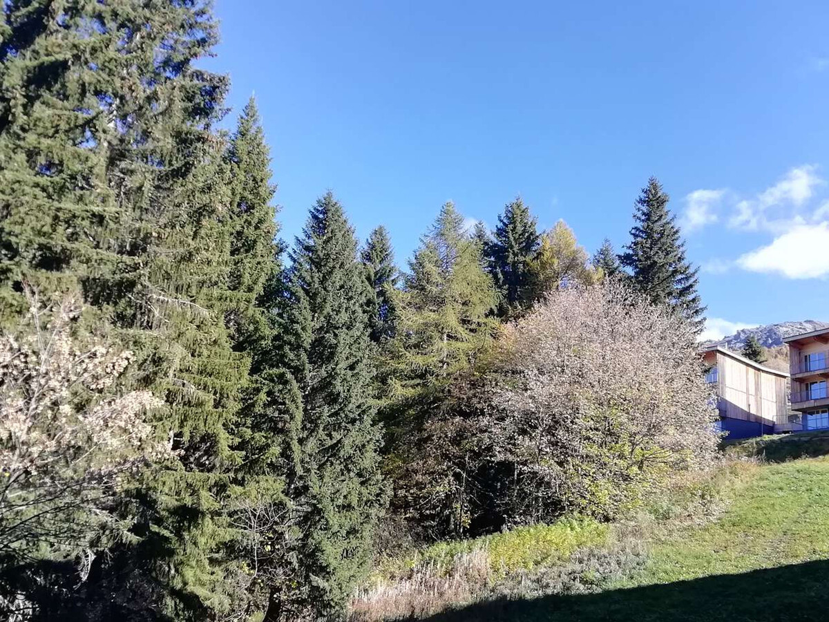 Duplex 33m² skis aux pieds, 5 pers, animaux admis - Photo 3