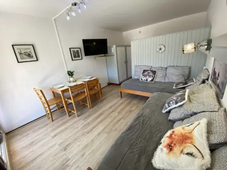 Studio rénové 4 pers, balcon, face aux pistes, commerces, animaux admis : photo 3
