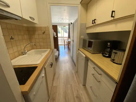 Studio rénové 4 pers, balcon, face aux pistes, commerces, animaux admis : photo 8