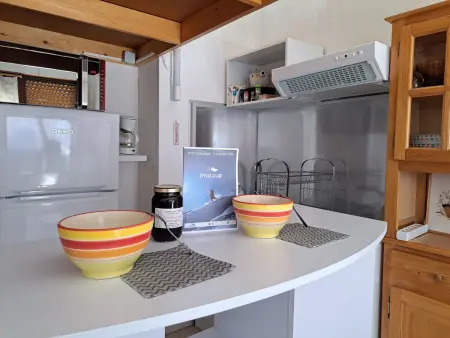 Studio 22m² face aux pistes à Pra-Loup, 4 personnes : photo 7