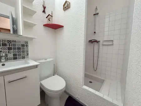 Studio 26 m² aux pieds des pistes de Notre-Dame-de-Bellecombe : photo 17