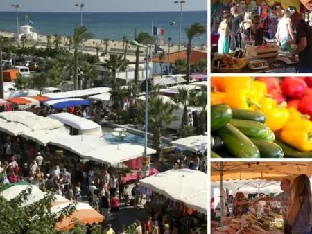 Charmant T2 climatisé proche plage et commerces, animaux admis : photo 15