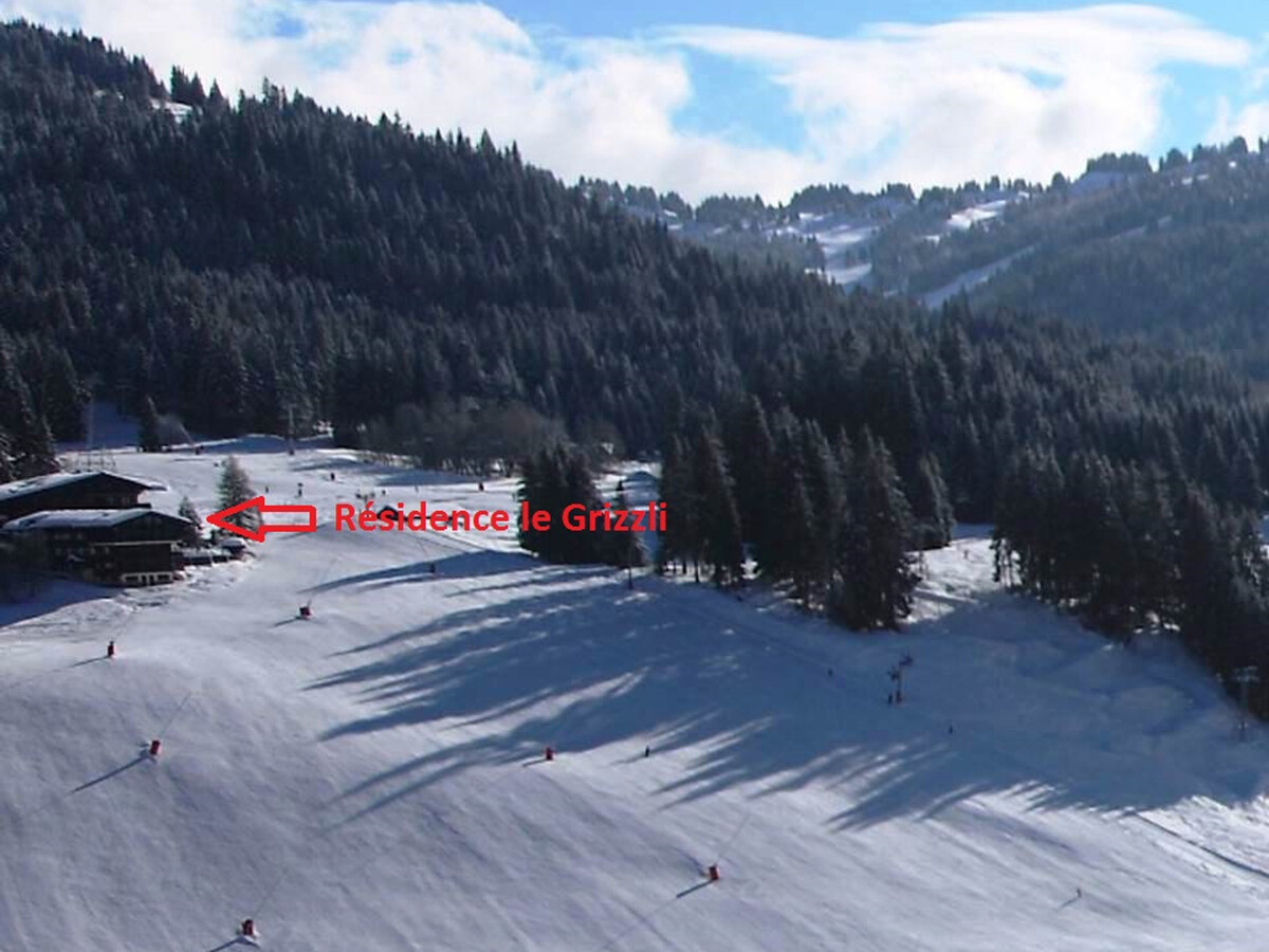 Appartement skis aux pieds, balcon 23 m², Les Gets - Photo 11
