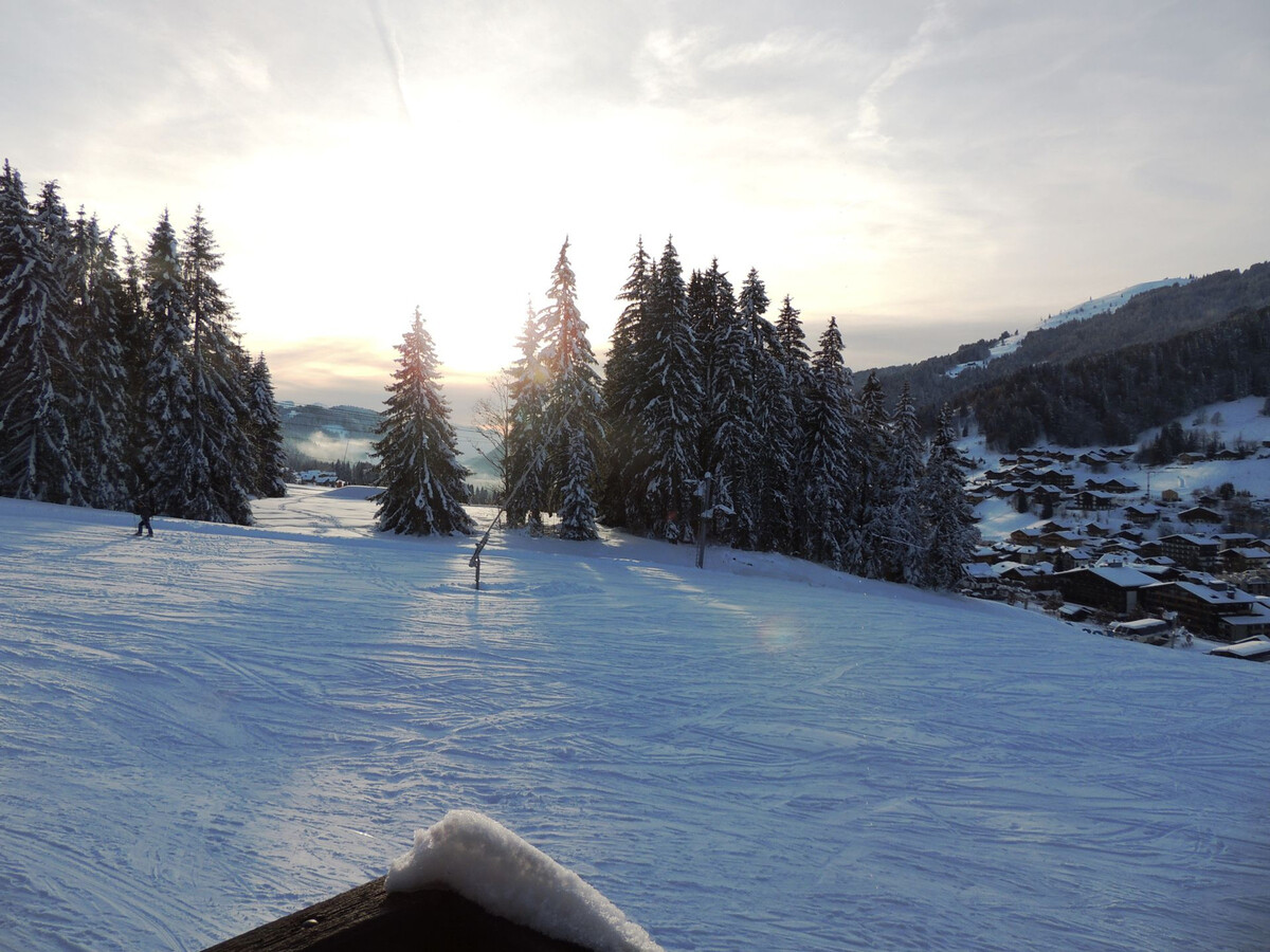 Appartement skis aux pieds, balcon 23 m², Les Gets - Photo 13