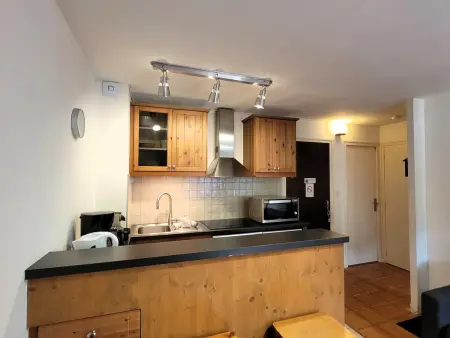 Appartement 2 pièces cabine aux Gets, vue Mont Chéry : photo 13
