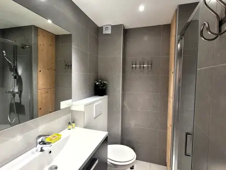 Appartement 2 pièces cabine aux Gets, vue Mont Chéry : photo 15