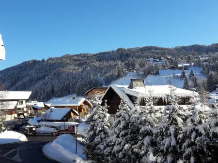 T3 duplex lumineux aux Gets, vue pistes, parking : photo 8