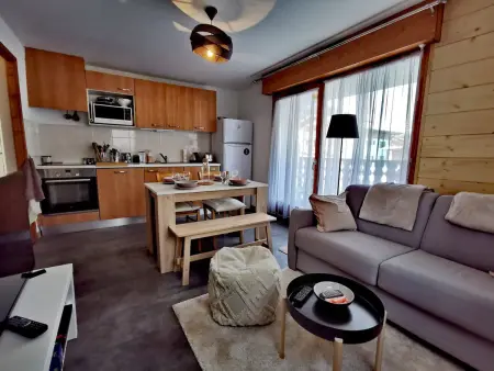Appartement rénové 35 m² avec garage, Les Gets : photo 3