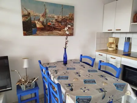 T2 climatisé avec mezzanine et terrasse à Saint-Cyprien : photo 6