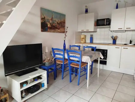 T2 climatisé avec mezzanine et terrasse à Saint-Cyprien : photo 7