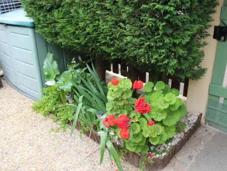 Pavillon avec jardin privé et piscine à Argelès-sur-Mer, 6 personnes : photo 3