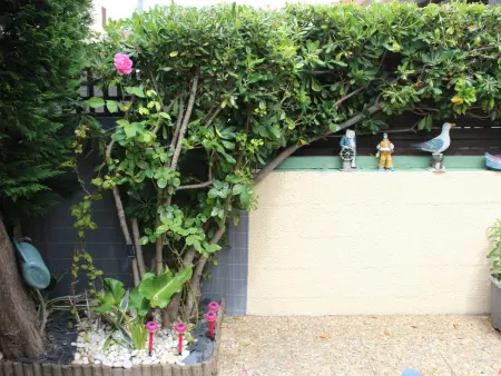 Pavillon avec jardin privé et piscine à Argelès-sur-Mer, 6 personnes : photo 19