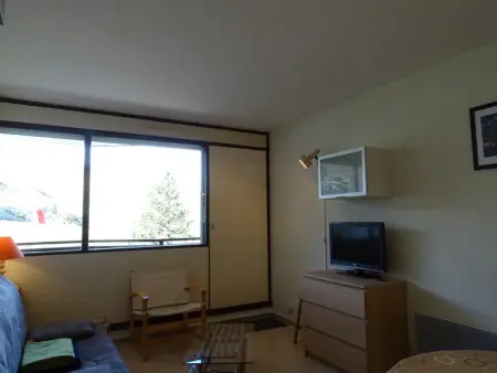 Studio 4 pers. avec balcon vue pistes à Arette : photo 4