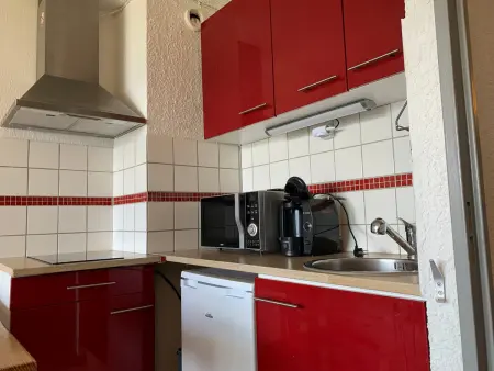 Studio rénové 4 pers. avec vue montagnes à Pra-Loup : photo 2