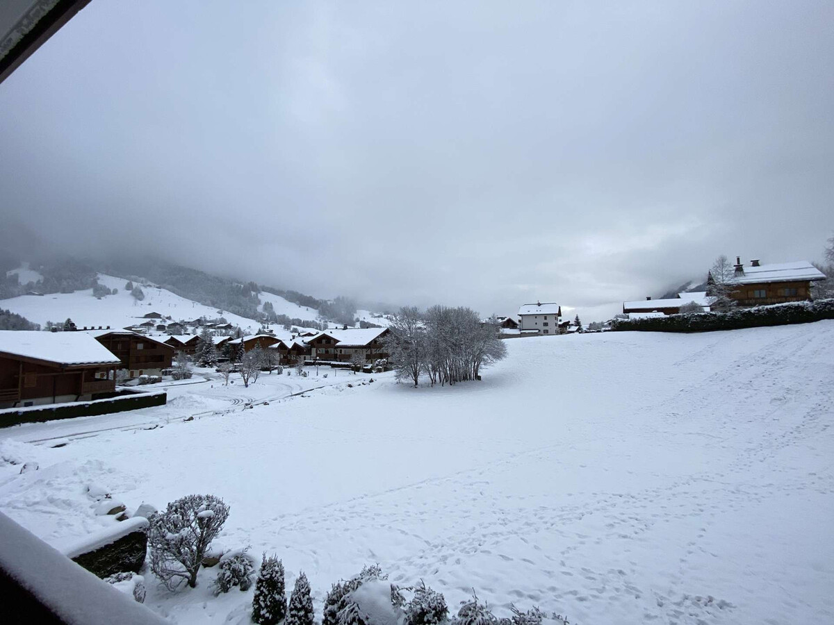 Appartement 3 pièces balcon sud-ouest à Praz-sur-Arly - Photo 23