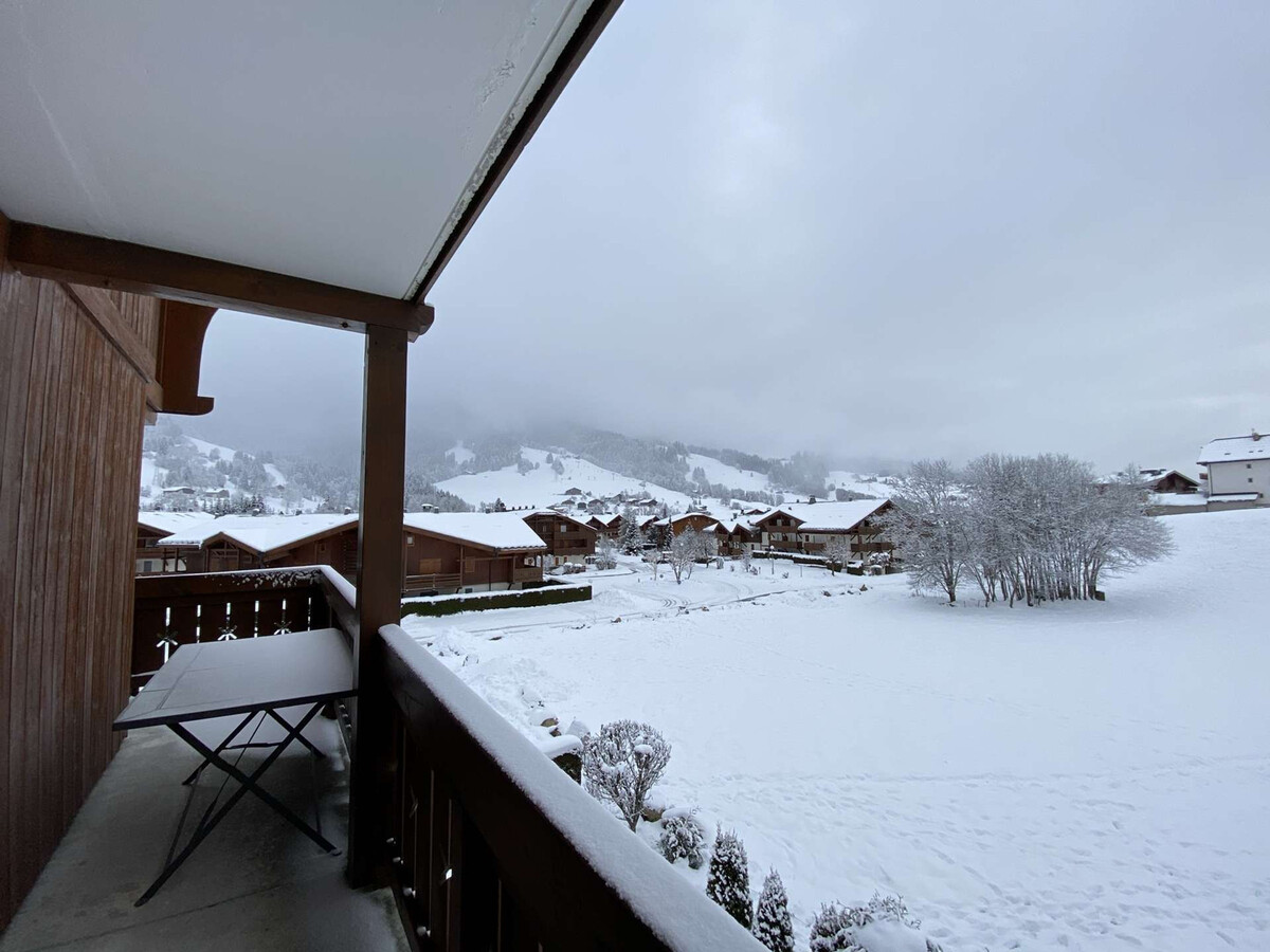 Appartement 3 pièces balcon sud-ouest à Praz-sur-Arly - Photo 25
