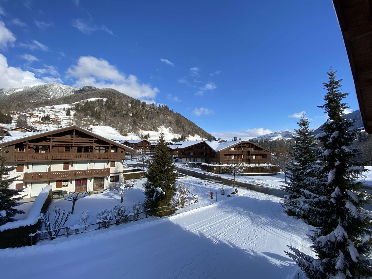 Studio cabine 4 pers à Praz-sur-Arly, 300 m du lac - Photo 5