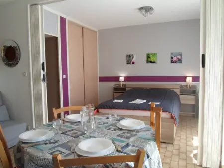 Appart 2★ rez-de-jardin, climatisé, 10 min Thermes : photo 7
