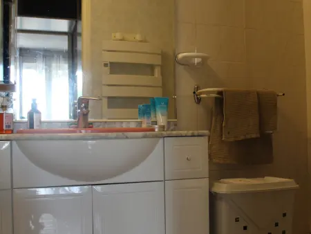 Appart 2★ rez-de-jardin, climatisé, 10 min Thermes : photo 9