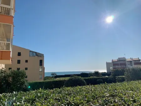 Studio 28 m² vue mer, terrasse plein sud, animaux admis - Cap d'Agde : photo 22