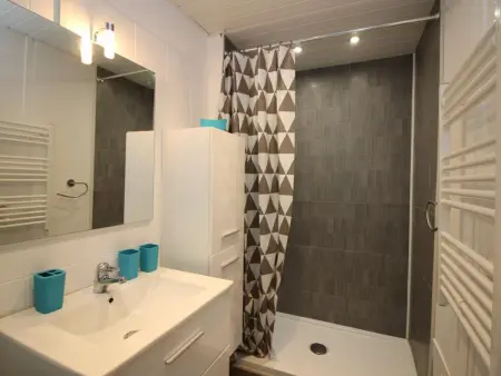 Duplex T3 78m² vue montagne et cascade à Mont-Dore : photo 9