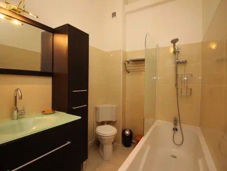 T3 60m² centre Mont-Dore, 100m thermes, ski gratuit : photo 11