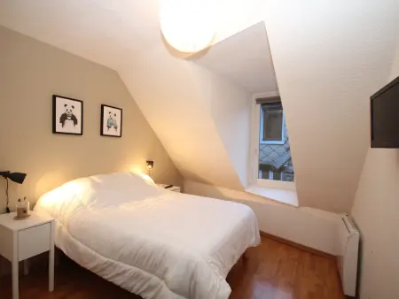 T3 bis 84m² hyper centre Mont-Dore, 100m des Thermes : photo 6