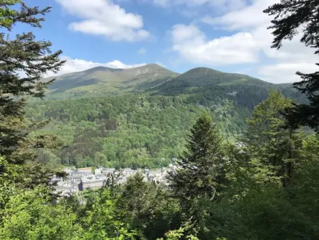 Charmant T2 avec Wifi et parking au Mont-Dore, Appartement 4 personnes à Mont Dore - Photo 13