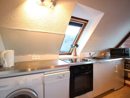 Duplex T3 50m² terrasse Sud-Ouest et garage au Mont-Dore : photo 4