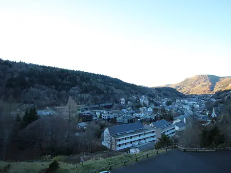Duplex T3 50m² terrasse Sud-Ouest et garage au Mont-Dore : photo 5
